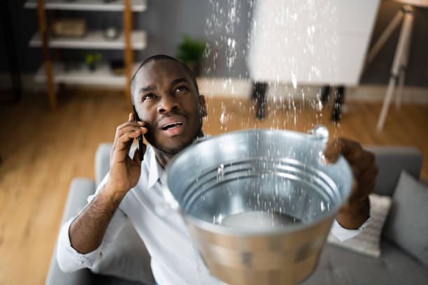 Best Ceiling water damage repair  in Havre De Grace, MD