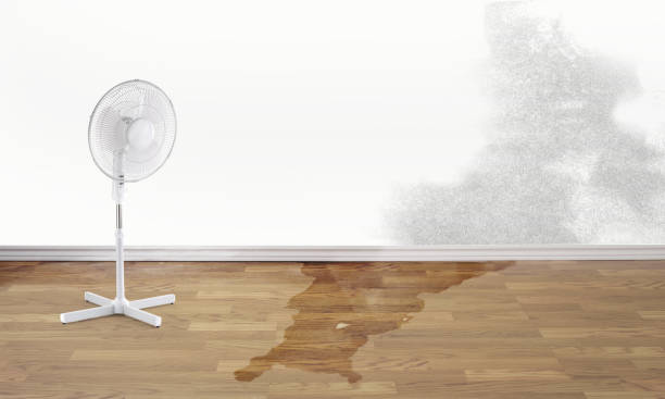 24/7 water damage repair in Havre De Grace, MD