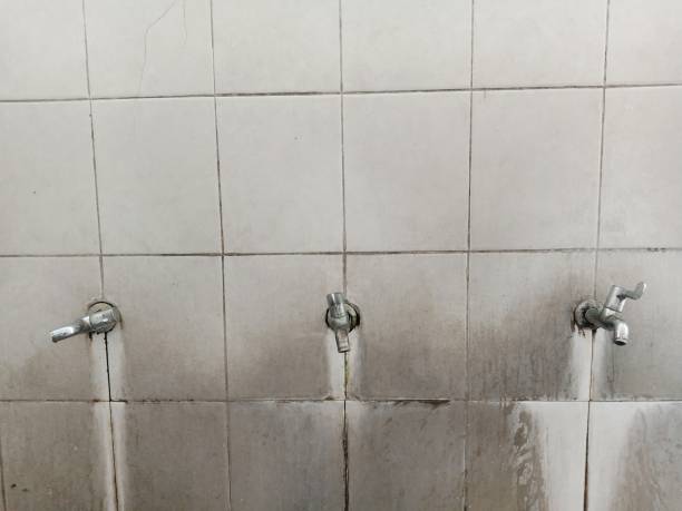 Best 24/7 water damage repair  in Havre De Grace, MD