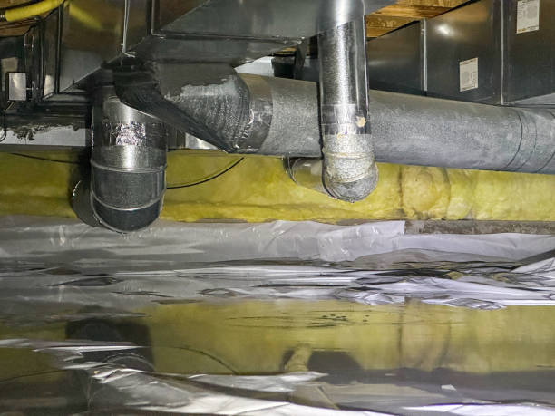 Carpet water damage restoration in Havre De Grace, MD
