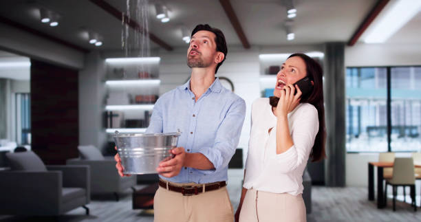 Best Residential water damage restoration  in Havre De Grace, MD